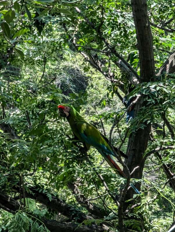 Hiking Adventure to a Secret Swimming Spot - Experience a Unique Nature Escape with a 6-Hour Hiking Tour in Jalisco