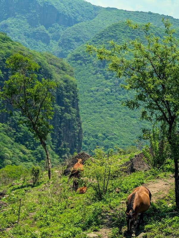 Hiking Adventure to a Secret Swimming Spot - Accessibility and Physical Requirements