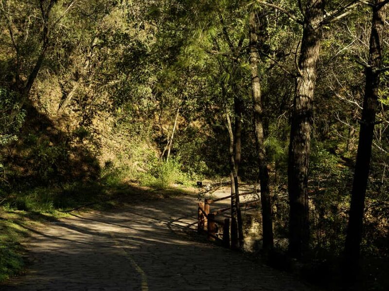 Hiking and a visit to a waterfall in the city: La Estanzuela - Climbing to the "El Cielo" Waterfall