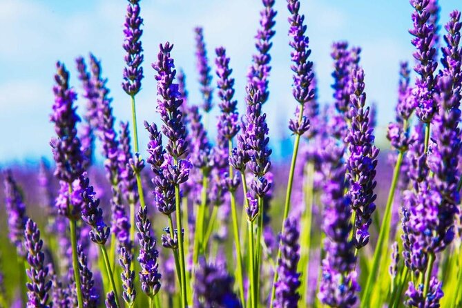 Hiking and Adventure from Napanee to Bon Echo Provincial Park - Drive to Bon Echo Provincial Park