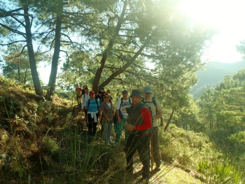 Hiking and bathing in natural pools in the National Park - Key Points
