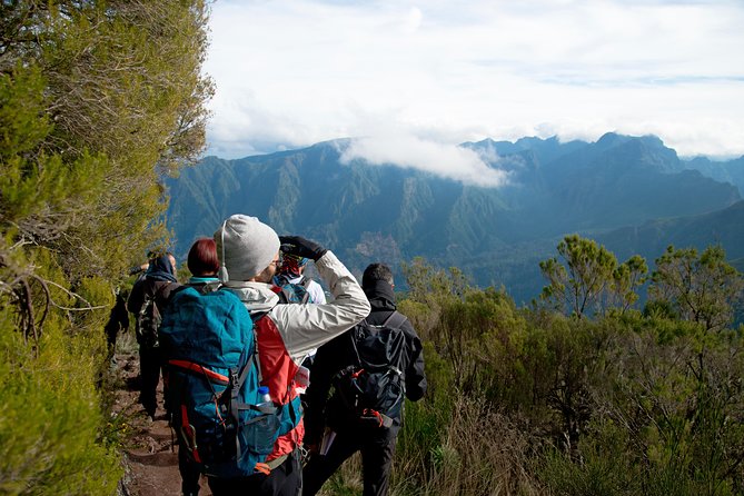 Hiking and Trekking tours in Madeira - Madeira’s Pristine Laurissilva Forests and Levadas