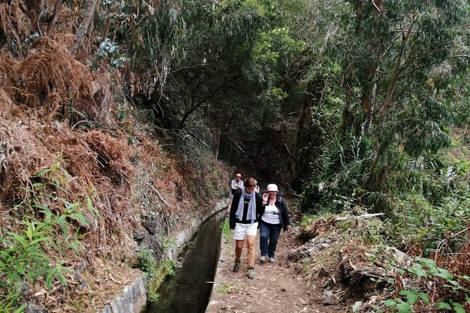 Hiking and Trekking tours in Madeira - Logistics: Meeting Points and Transport