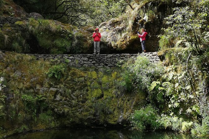 Hiking and Trekking tours in Madeira - Why Choose This Madeira Hiking Tour?