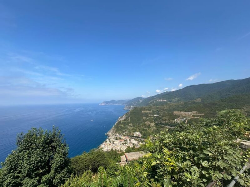Hiking and wine tasting experience - From Riomaggiore to the Santuario of Montenero