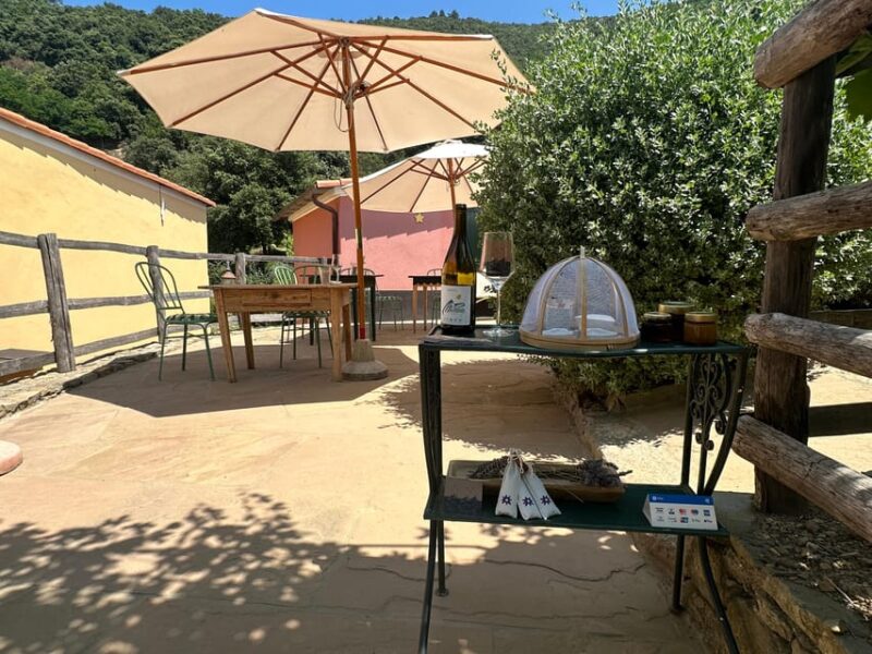 Hiking and wine tasting experience - Wine Tasting at Stella di Lemmen Farm