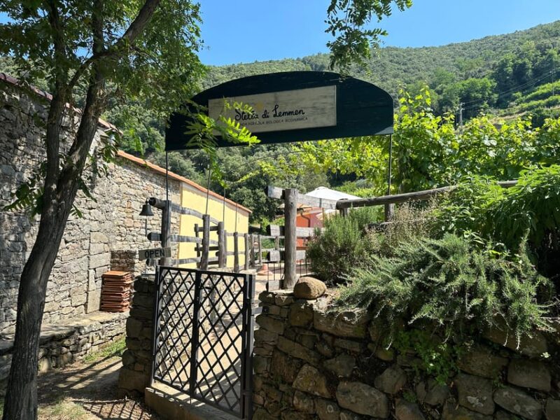 Hiking and wine tasting experience - Return Walk to Riomaggiore