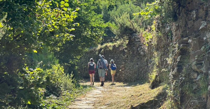 Hiking and wine tasting experience - Practical Details: Meeting Point and Group Size
