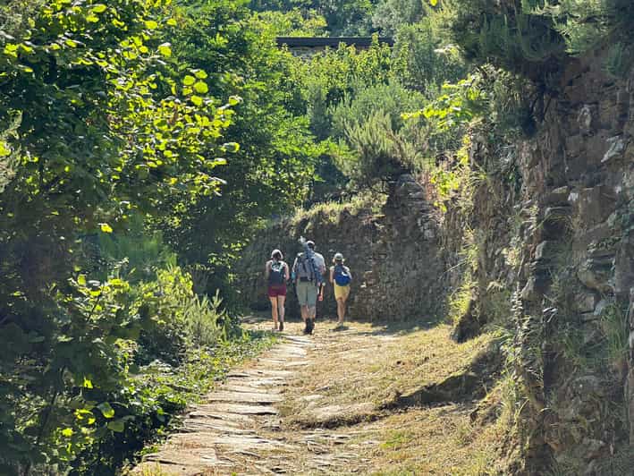 Hiking and wine tasting experience - Accessibility and Suitability