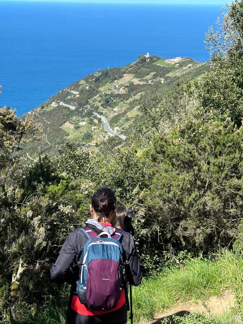 Hiking and wine tasting experience - Price and Booking Flexibility