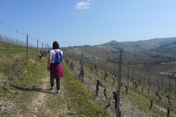 Hiking and wine tour starting from Alba - Discover the Charm of the Langhe Hills with a Guided Hike and Wine Tasting