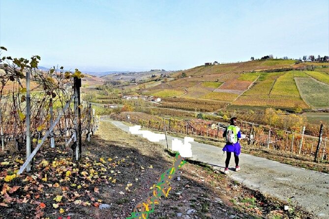 Hiking and wine tour starting from Alba - Starting Point in Alba’s Historic Center