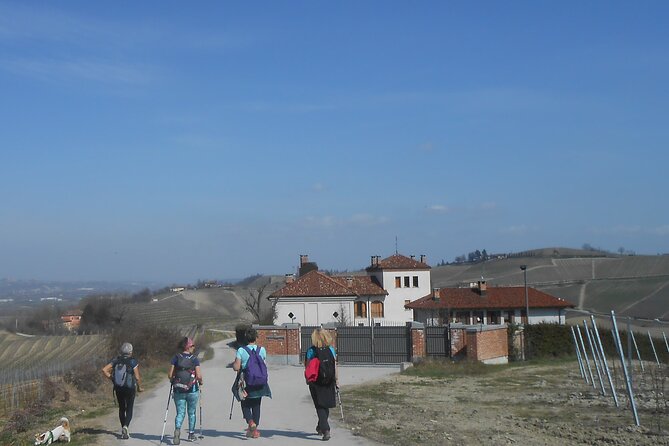 Hiking and wine tour starting from Alba - Wine Tasting at a Family-Owned Cellar