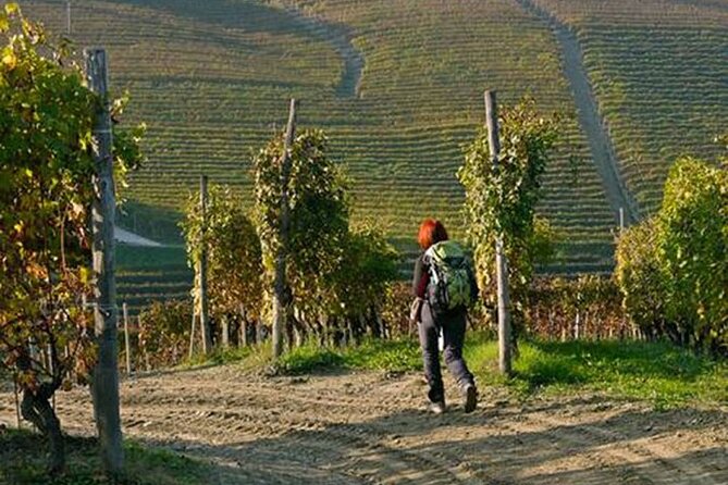 Hiking and wine tour starting from Alba - Booking and Cancellation Policies