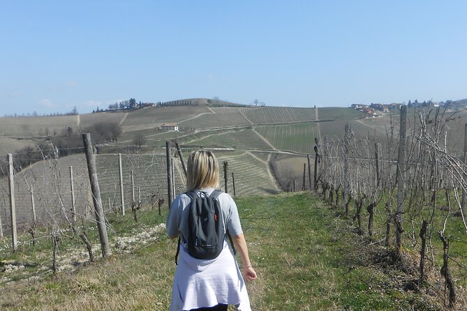 Hiking and wine tour starting from Alba - Comparing This Tour to Similar Experiences