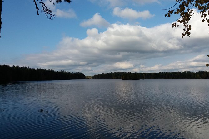 Hiking around forest and lake - Explore Finland’s Forests and Kalliojärvi Lake on a Guided Hike