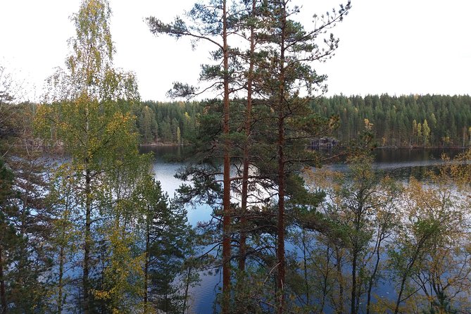 Hiking around forest and lake - Navigating the Terrain and Trail Conditions