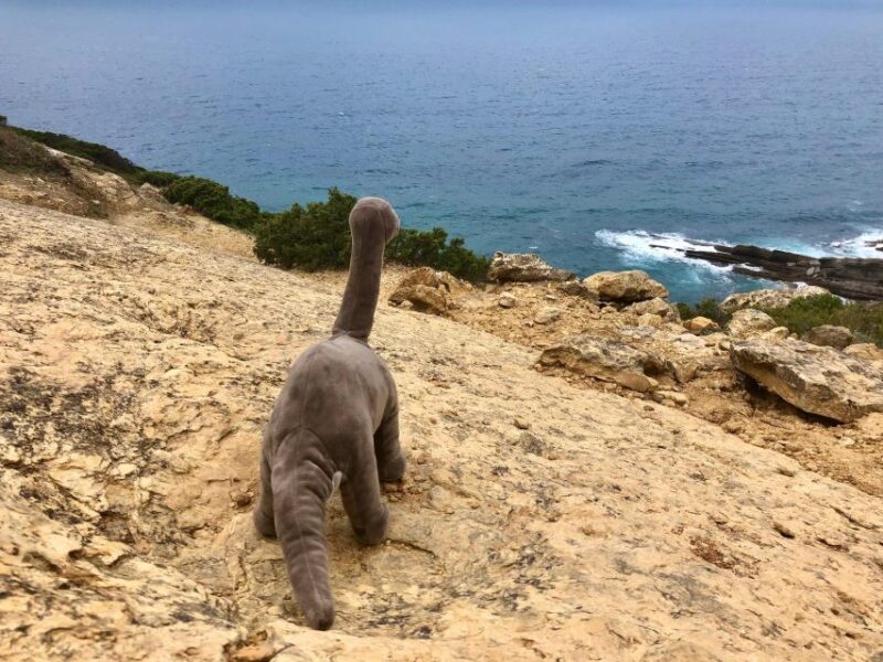 HIKING around Lisbon: Jurassic Dinosaur Trails of Espichel - Discover the Jurassic Dinosaur Trails of Espichel for an Unforgettable Hike