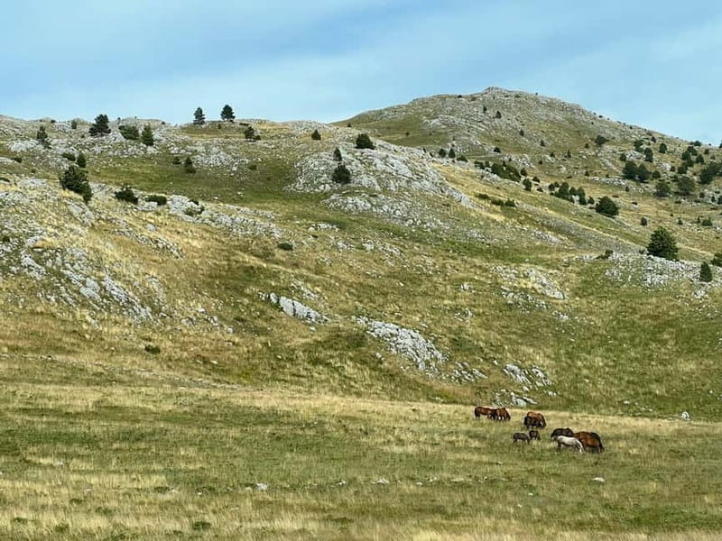 Hiking around Sarajevo: Lukomir Village Full Day Hiking Tour - Discover Bosnia’s Highest Nomad Village on a Full-Day Trek from Sarajevo