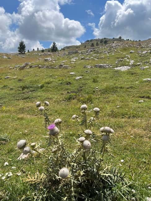 Hiking around Sarajevo: Lukomir Village Full Day Hiking Tour - The Return Hike Through Rakitnica Canyon