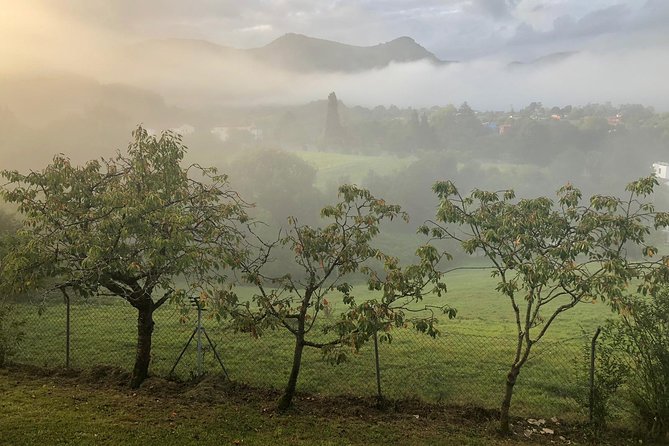 Hiking, eating and relaxing in an 18th century Spa near Oviedo - Starting Point in Oviedo: Easy Access for Visitors