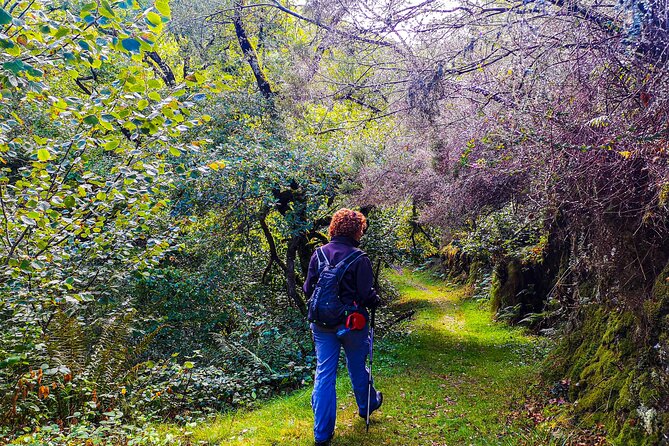 Hiking Experience in Asturias, from Gijón or Oviedo - What’s Included and What to Bring