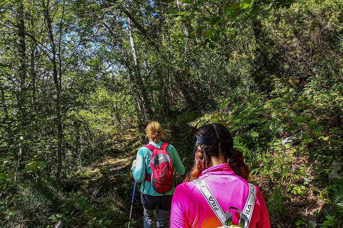 Hiking Experience in Asturias, from Gijón or Oviedo - Flexibility and Customization for Your Perfect Day