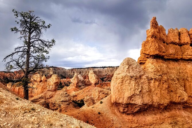Hiking Experience in Bryce Canyon National Park - Expert Guidance with a Personal Touch