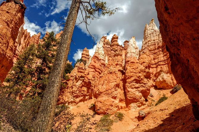 Hiking Experience in Bryce Canyon National Park - Flexibility and Cancellation Policy