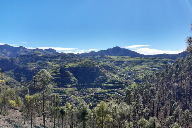 Hiking experience in the north of Gran Canaria - North Gran Canarias Unique Landscapes and Scenic Diversity