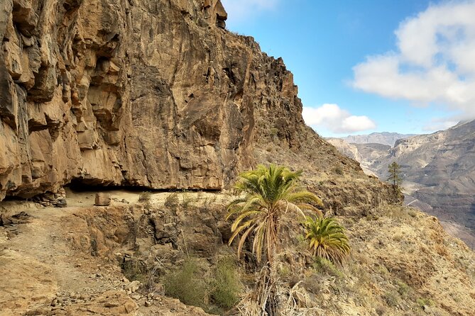 Hiking experience in the north of Gran Canaria - Logistics and Meeting Details for a Smooth Start