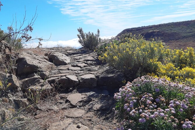 Hiking experience in the north of Gran Canaria - Physical Fitness and Equipment Requirements