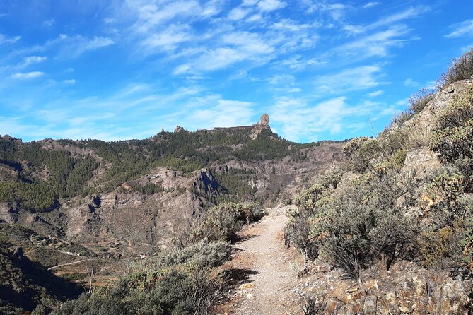 Hiking experience in the north of Gran Canaria - Adaptability to Weather and Route Changes