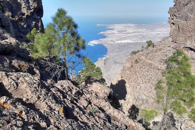 Hiking experience in the north of Gran Canaria - The Experience of the Guides and Their Knowledge