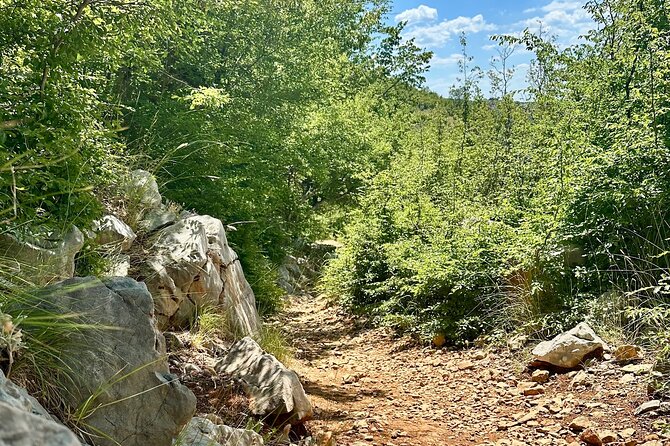 Hiking experience on the Krupa River : incl. transfer & lunch - Key Points