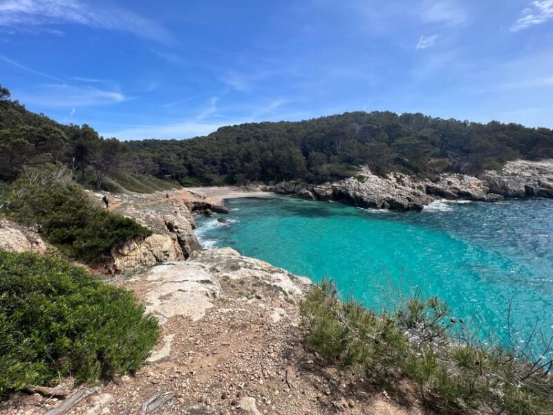 Hiking Experiences in Menorca Private Guided Half Day - Which Trail Level Is Right for You?