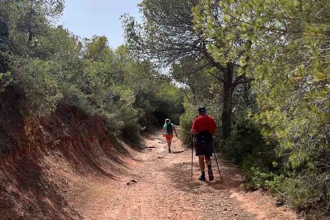 Hiking guide tours in Ibiza - Explore stunning views with us! IHL - Key Points