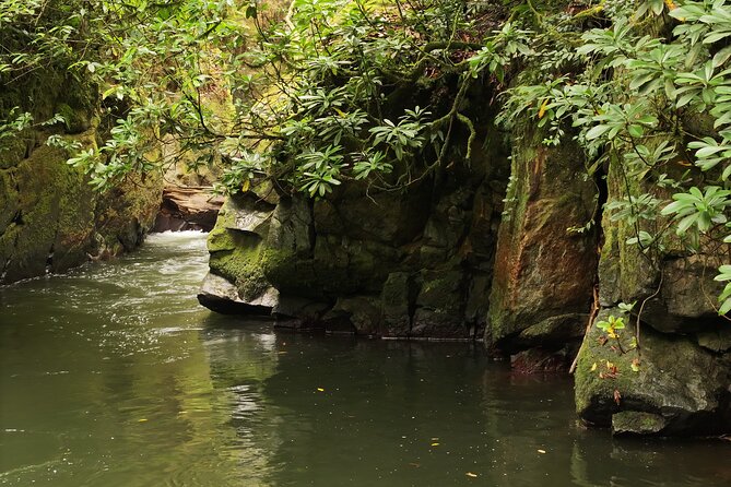 Hiking in Batumi ( Mtirala National Park) - Practical Details and Included Amenities