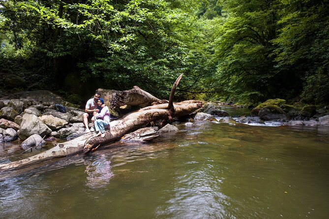 Hiking in Batumi ( Mtirala National Park) - Flexibility and Booking Policies