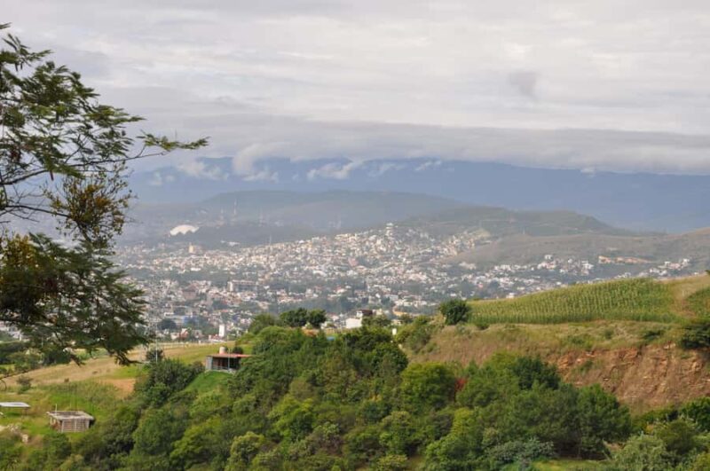 Hiking in Benito Juárez National Park - Explore the Natural Beauty of Benito Juárez National Park Near Oaxaca