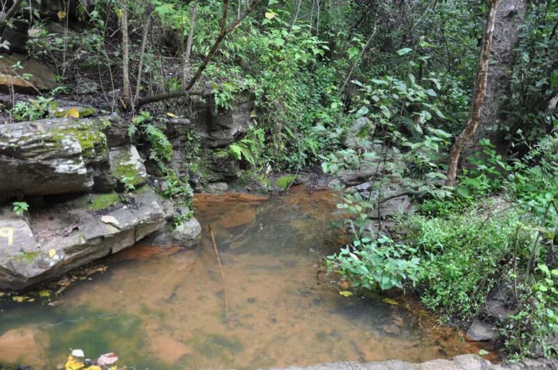 Hiking in Benito Juárez National Park - Scenic Drive and Views En Route to Benito Juárez National Park