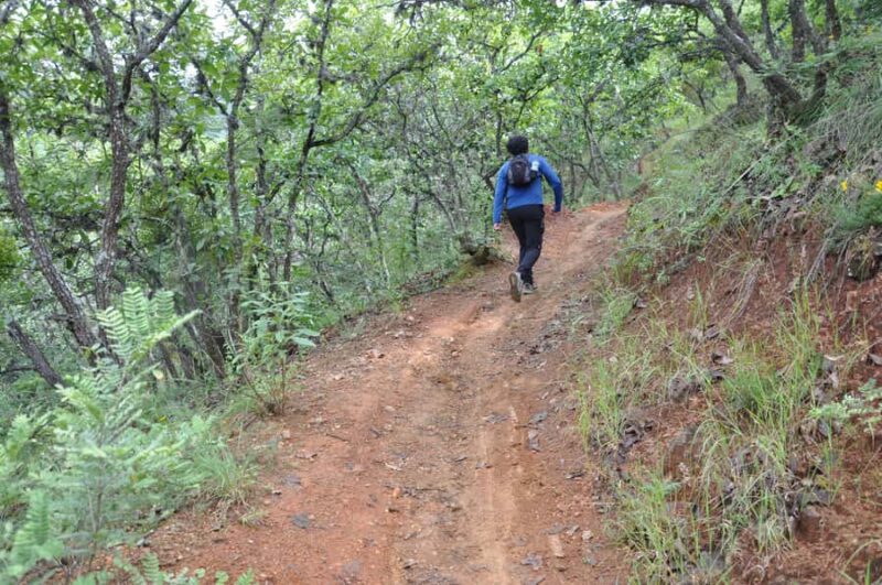 Hiking in Benito Juárez National Park - Choosing Your Trail: Technical or Beginner Routes
