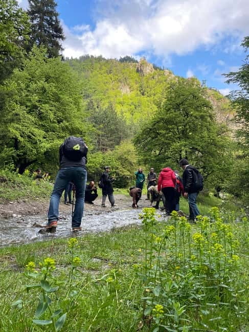 Hiking in Borjomi from Tbilisi - What Is Included and What to Prepare