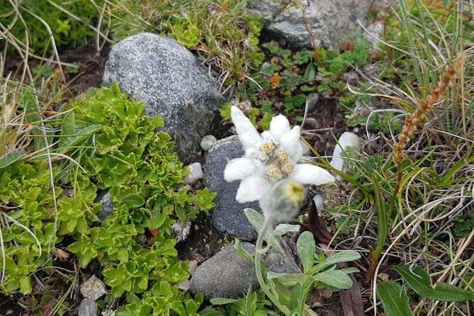 Hiking in Bucegi Mountains in the Carpathians, Private tour - Practical Tips and Equipment Recommendations