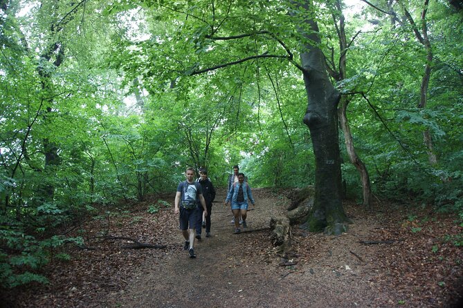 Hiking in Budapest - Key Points