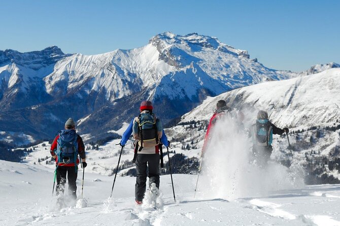 Hiking in Chamonix with a guide - Experience the Mont Blanc Mountains with a Private Snowshoe Hike in Chamonix