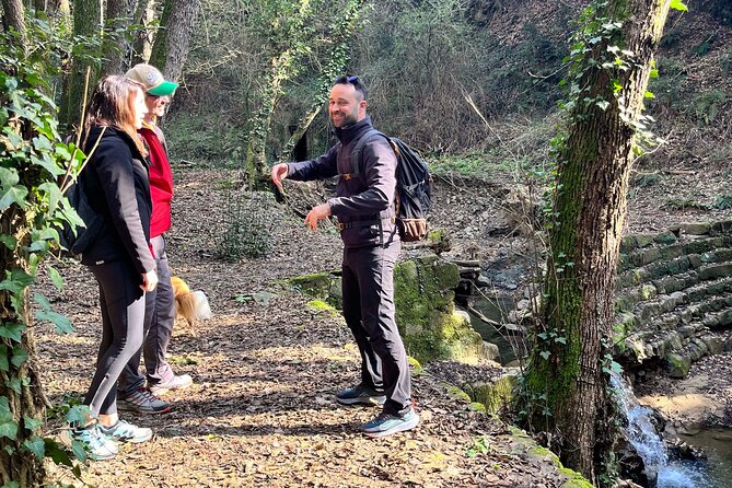 Hiking in da Vincis Land in Tuscany - Accessibility and Group Size