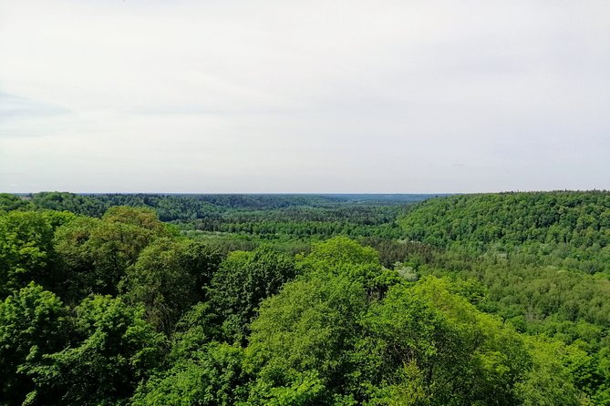 Hiking in Gauja National Park - What’s Included and What to Bring