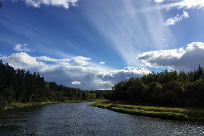 Hiking in Gauja National Park - Flexibility and Cancellation Policy