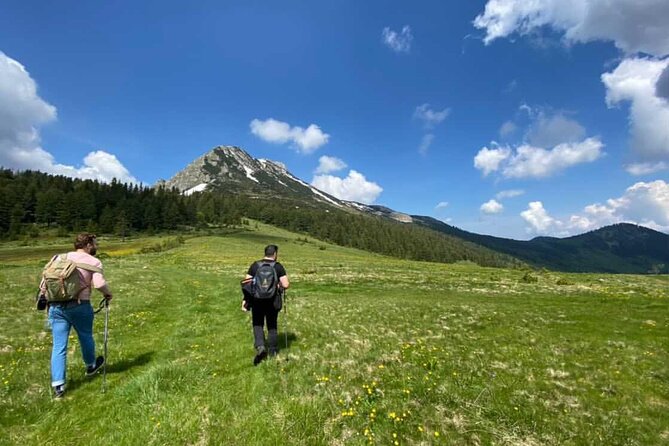 Hiking in Hajla Peak 2403m - What the Guide Brings to the Experience